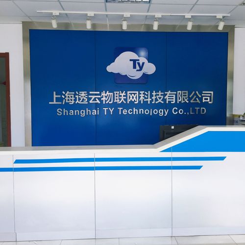 上海透云物联网科技与上海科技网络 双轮驱动下的城市数字化转型