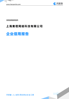 上海麦橙网络科技有限公司企业信用报告